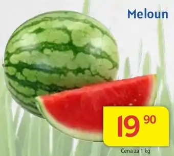 Kubík potraviny Meloun nabídka