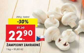 Lidl ŽAMPIONY ZAHRADNÍ nabídka