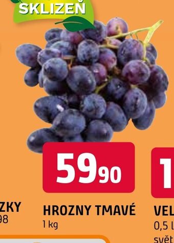 Terno HROZNY TMAVÉ VELKOPOPOVICKÝ KOZEL nabídka