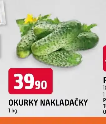 Terno OKURKY NAKLADAČKY 1 kg nabídka