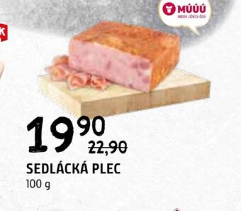 Terno SEDLÁCKÁ PLEC 100 g nabídka
