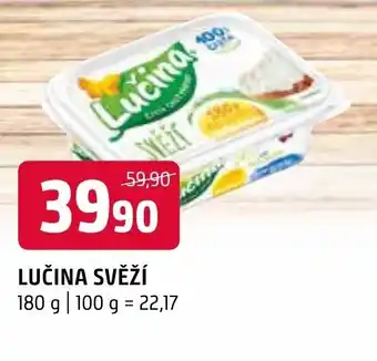Terno LUČINA SVĚŽÍ nabídka