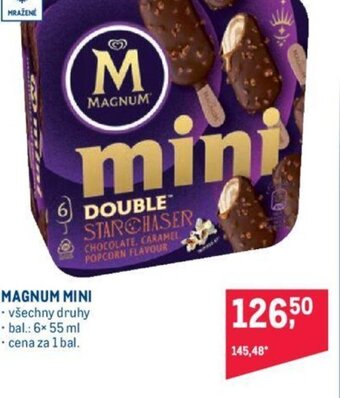 Makro MAGNUM MINI nabídka