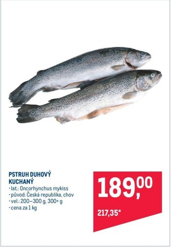 Makro PSTRUH DUHOVÝ KUCHANÝ nabídka
