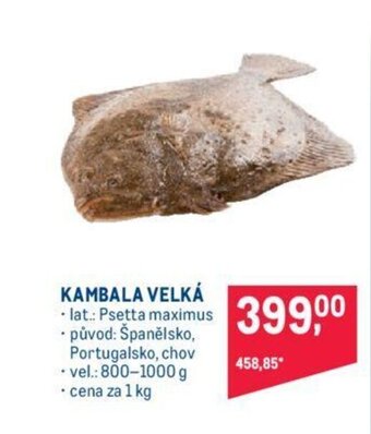 Makro KAMBALA VELKÁ nabídka