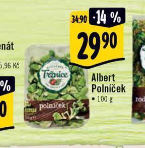 Albert Polníček nabídka