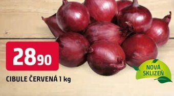 Trefa CIBULE ČERVENÁ 1 kg nabídka