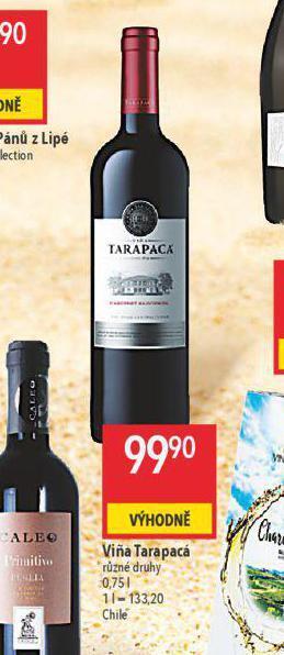 Globus Vina tarapacá nabídka