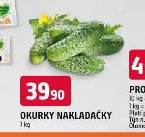Terno Okurky nakládačky nabídka