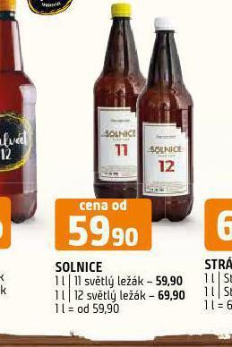 Terno Pivo solnice nabídka