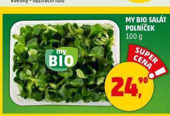 Penny Market My bio salát polníček, 100 g nabídka
