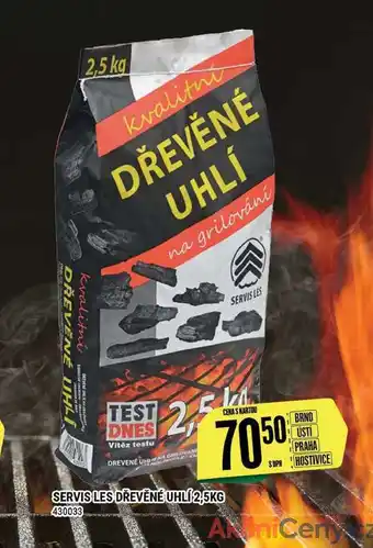 Tamda Foods Servis les dřevěné uhlí 2,5 kg nabídka