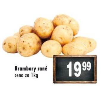 Qanto Brambory rané cena za 1kg nabídka