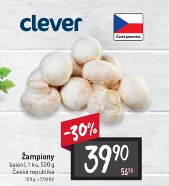 Žampiony