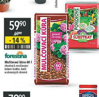 Globus Mulčovací kůra nabídka