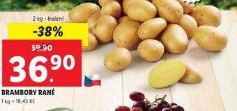 Lidl BRAMBORY RANÉ nabídka