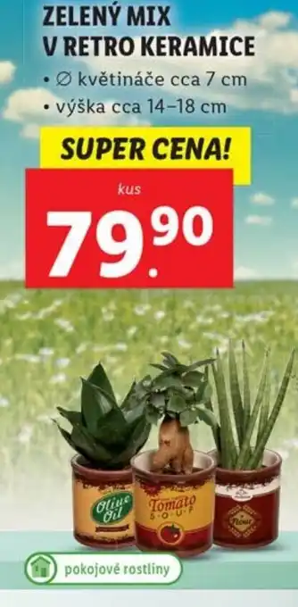 Lidl ZELENÝ MIX V RETRO KERAMICE nabídka