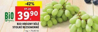 BIO HROZNY BÍLÉ STOLNÍ BEZSEMENNÉ