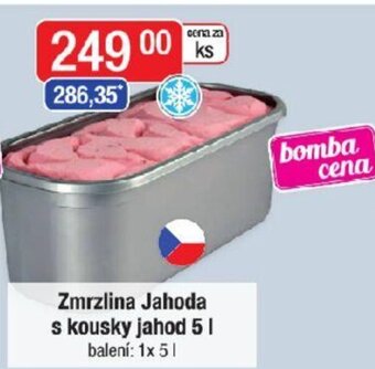 Qanto Zmrzlina Jahoda s kousky jahod 5l nabídka