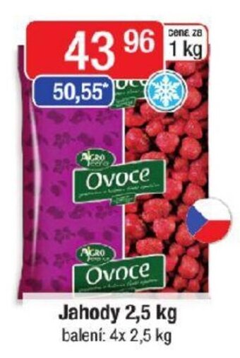 Qanto Jahody 2,5 kg nabídka