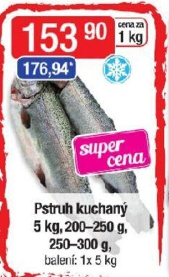 Qanto Pstruh kuchaný 5 kg, 200-250 g, 250-300 g nabídka