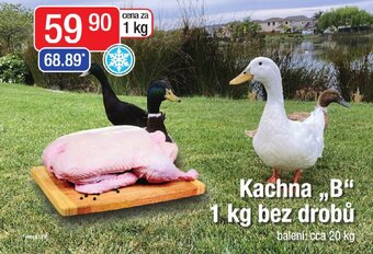 Qanto Kachna ,,B" 1 kg bez drobů nabídka