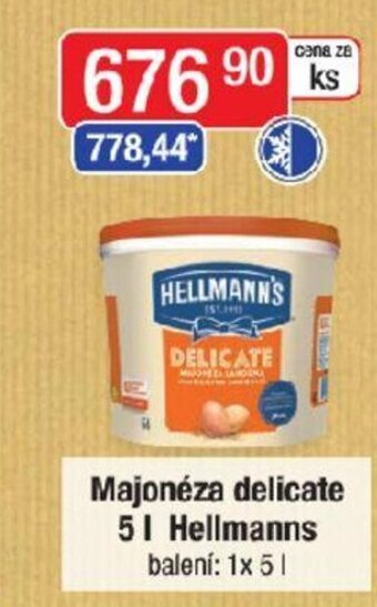 Qanto Majonéza delicate 5l Hellmanns nabídka