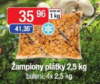 Qanto Žampiony plátky 2,5 kg nabídka