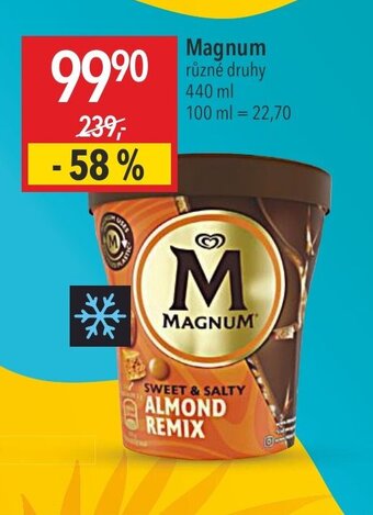 Globus Magnum nabídka