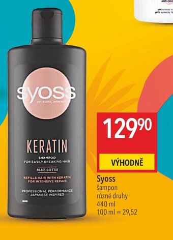 Globus Syoss nabídka