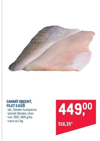 Makro CANDÁT FILET S KŮŽÍ nabídka