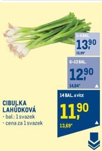 Makro CIBULKA LAHŮDKOVÁ nabídka