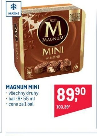 Makro MAGNUM MINI nabídka