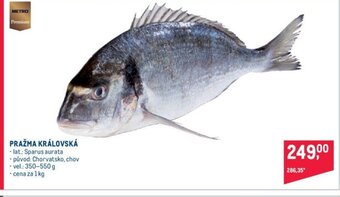 Makro PRAŽMA KRÁLOVSKÁ nabídka