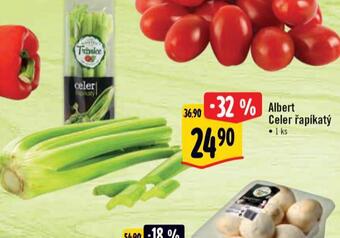 Albert Celer řapíkatý nabídka