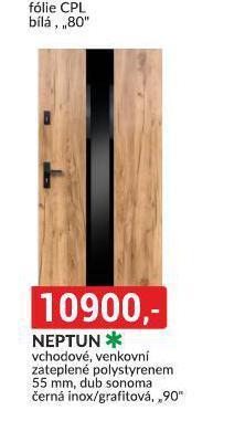 Baumax Dveře neptun nabídka