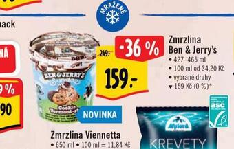 Albert Zmrzlina ben & jerry's nabídka