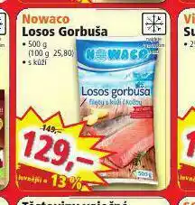 Norma Losos nowaco nabídka