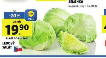 Lidl Ledový salát nabídka
