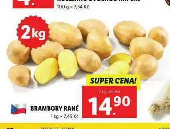 Lidl Brambory ryné nabídka