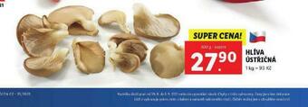 Lidl Hlíva ústřičná nabídka