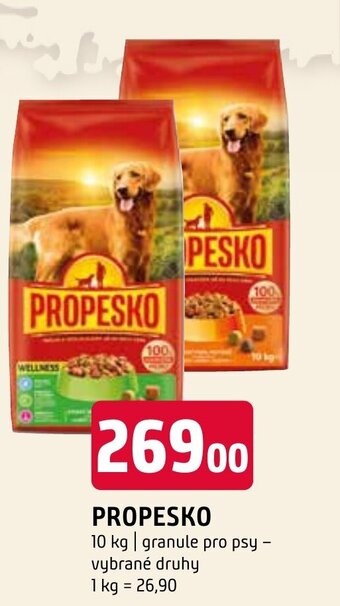 Terno PROPESKO nabídka