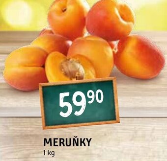 Terno MERUŇKY nabídka