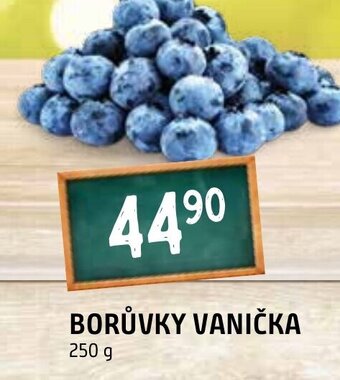 Terno BORŮVKY VANIČKA nabídka