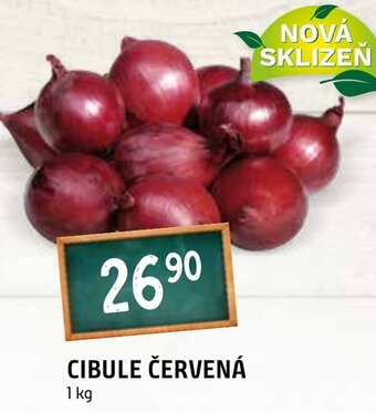 Terno CIBULE ČERVENÁ nabídka