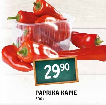 Terno PAPRIKA KAPIE 500 g nabídka