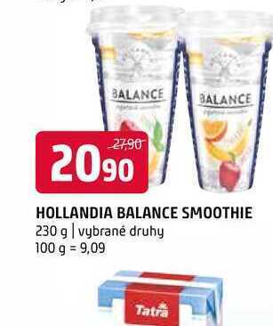 Terno Hollandia balance smoothie 230 g nabídka