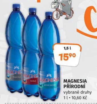 Trefa MAGNESIA PŘÍRODNÍ nabídka