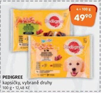 Trefa PEDIGREE nabídka