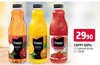 Terno CAPPY 100% nabídka